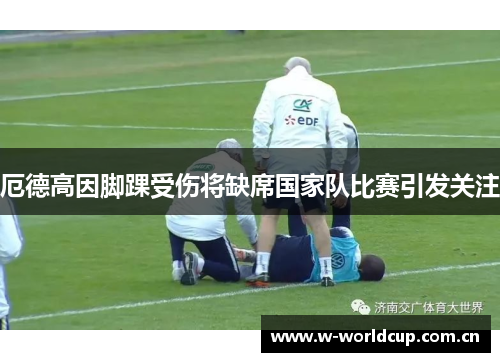 厄德高因脚踝受伤将缺席国家队比赛引发关注 厄德高因脚踝受伤将缺席国家队比赛引发关注